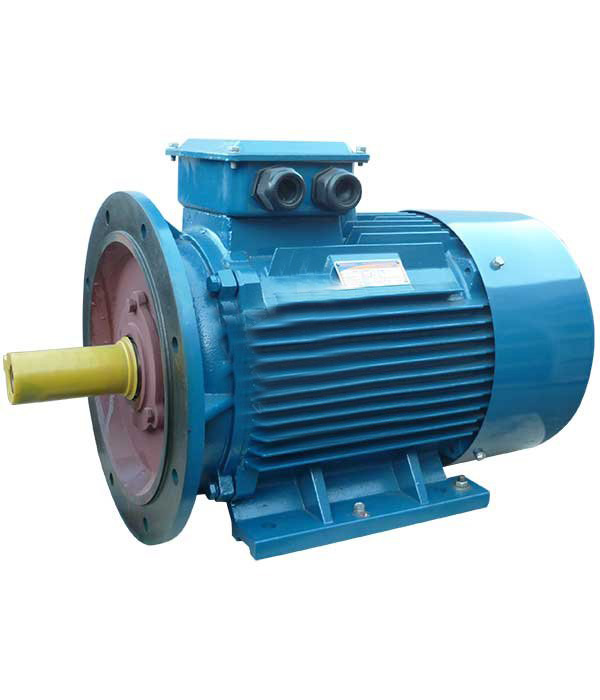 Электродвигатель АИМУ 250 М6 55/1000 IM 2001/2081 55кВт 380/660В У1